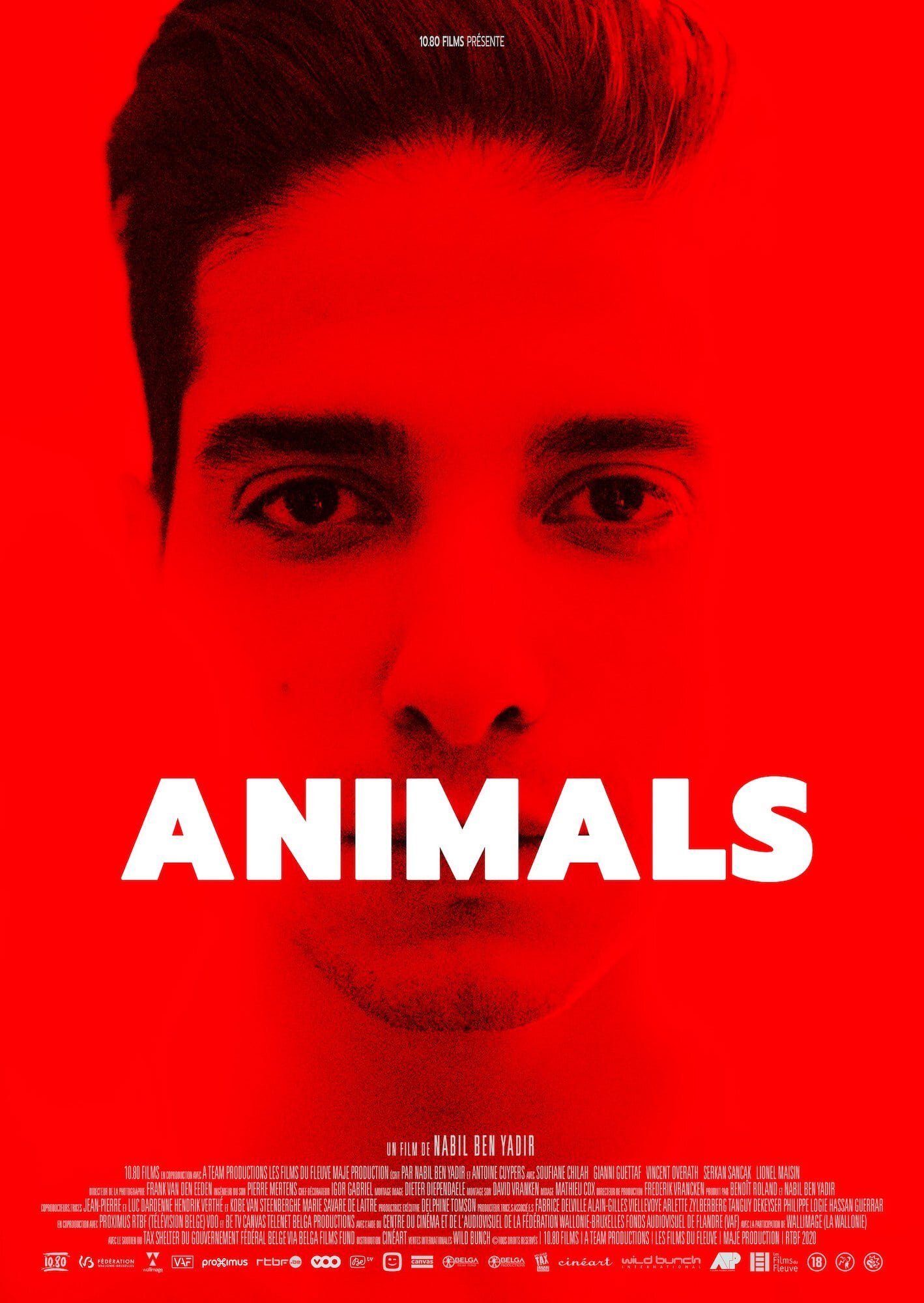 Animals (2021) Streaming, Trailer, Trama, Cast, Citazioni