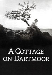 A Cottage on Dartmoor