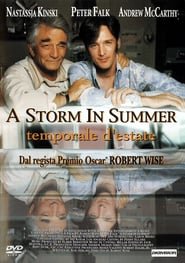 A storm in summer - Temporale d'estate