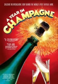 Un anno nella Champagne