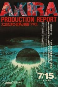 Akira - Production Report