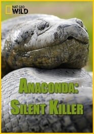 Anaconda: Silent Killer - Il mondo dell'anaconda