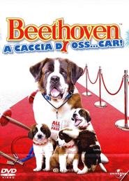 Beethoven - A caccia di Oss... car!