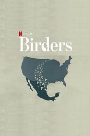 Birders - Uccelli migratori