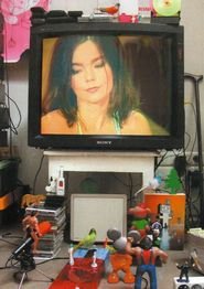Björk: MTV Unplugged
