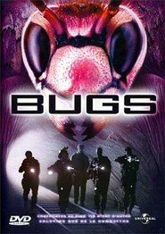Bugs - Paura nel buio