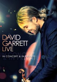 David Garrett LIVE - In Concert