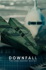Downfall: il caso Boeing