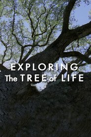 Exploring The Tree of Life