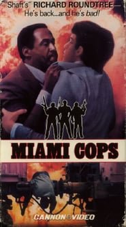 I poliziotti di Miami