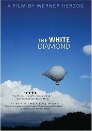 Il diamante bianco