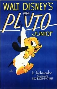 Il Piccolo Pluto