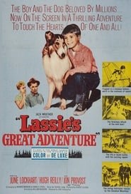 Lassie - L'avventura in pallone