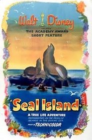 L'isola delle foche