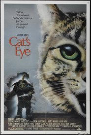 L'occhio del gatto
