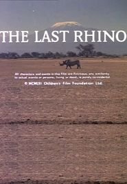 L'ultimo rinoceronte