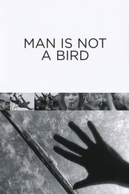 Man Is Not a Bird