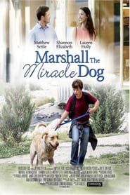 Marshall: un cane per amico