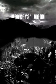 Monkey's Moon