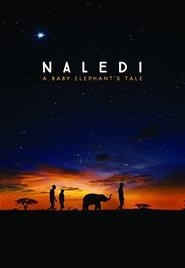 Naledi: A Baby Elephant' s Tale