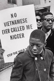 No Vietnamese Ever Called Me Nigger