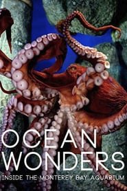Ocean Wonders - Inside the Monterey Bay Aquarium