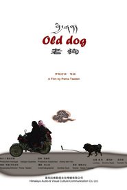 Old Dog