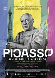 Picasso a Parigi. Storia di una vita e di un museo