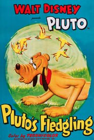 Pluto istruttore di volo