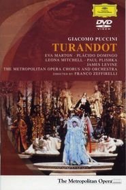 Puccini: Turandot at the Metropolitan Opera