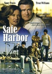 Safe Harbor – Un porto sicuro