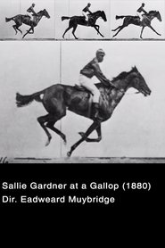 Sallie Gardner at a Gallop