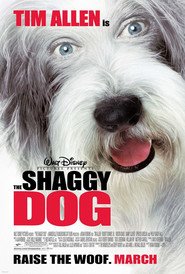 Shaggy Dog – Papà che abbaia non morde
