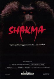 Shakma - morire per gioco