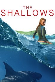Shooting in 'The Shallows'