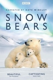 Snow Bears, vita da orsi
