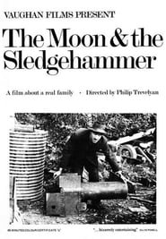 The Moon and the Sledgehammer