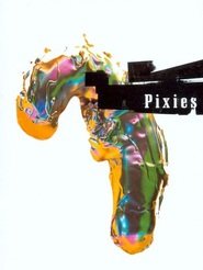 The Pixies: Live at The Town