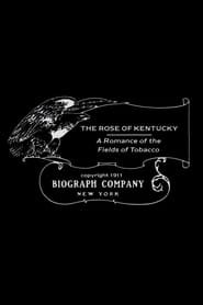 The Rose of Kentucky