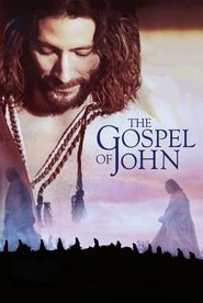 The Visual Bible, The Gospel of John