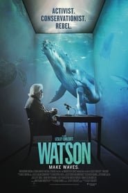 Watson - Il pirata degli oceani
