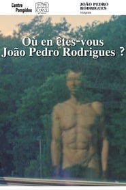 Where Do You Stand Now, João Pedro Rodrigues?