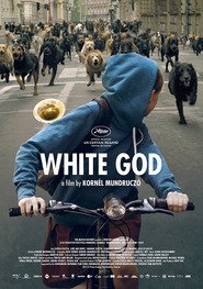 White God: Sinfonia per Hagen