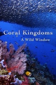 Wild Window: Coral Kingdoms
