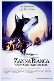 Zanna Bianca - Un piccolo grande lupo