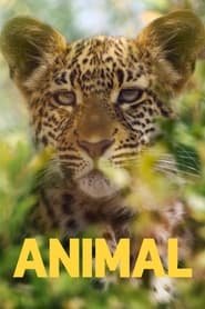 Animal: il meraviglioso mondo animale