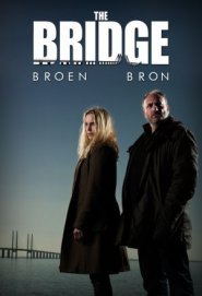 The Bridge: La serie originale
