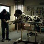 Il trailer di “Dogman”, il film con cui Garrone parteciperà a Cannes 2018