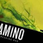 La guida ai personaggi di “Breaking Bad” che compaiono anche in “El Camino”