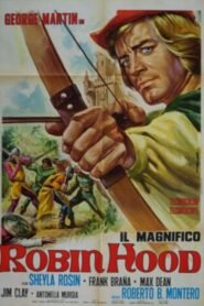 Il magnifico Robin Hood